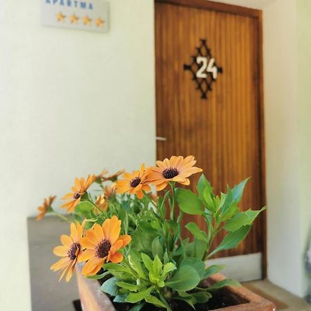 Apartma Rekar - A House, Where You Can Relax In The Embrace Of Nature Jesenice Luaran gambar