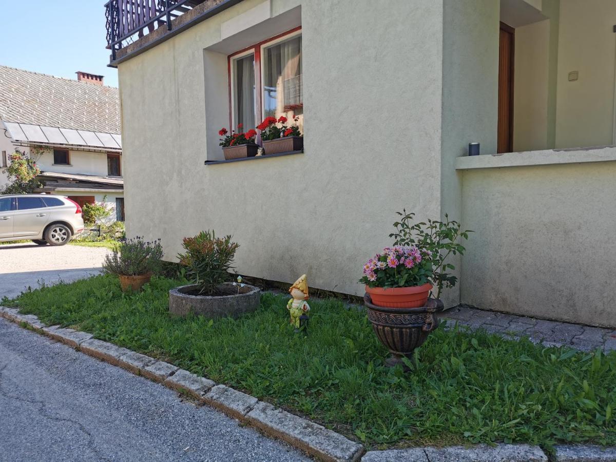 Apartma Rekar - A House, Where You Can Relax In The Embrace Of Nature Jesenice Luaran gambar