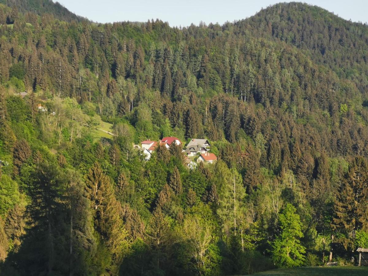Apartma Rekar - A House, Where You Can Relax In The Embrace Of Nature Jesenice Luaran gambar