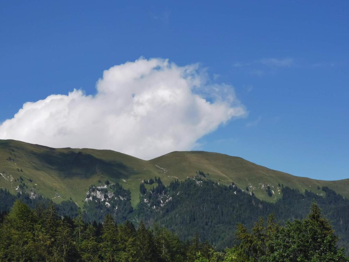 Apartma Rekar - A House, Where You Can Relax In The Embrace Of Nature Jesenice Luaran gambar