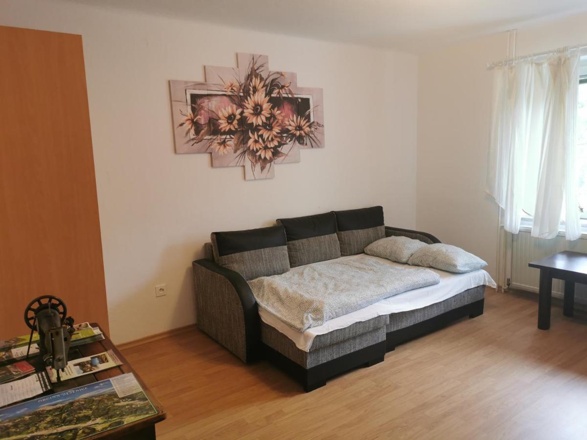 Apartma Rekar - A House, Where You Can Relax In The Embrace Of Nature Jesenice Luaran gambar
